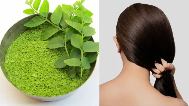 5-incredible-ways-to-use-curry-leaves-to-boost-quick-hair-growth